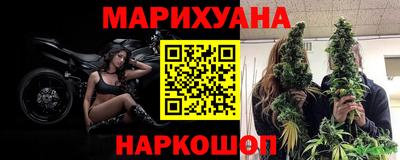 бошки Шебекино
