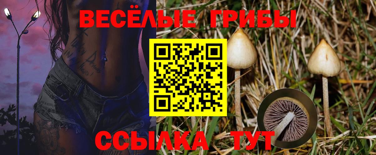 Псилоцибиновые грибы прущие грибы Магнитогорск
